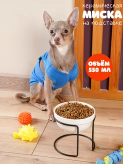 Керамическая миска для кошек и собак Glad Pet 180095886 купить за 667 ₽ в интернет-магазине Wildberries